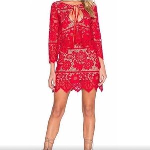 For love and lemons Gianna set